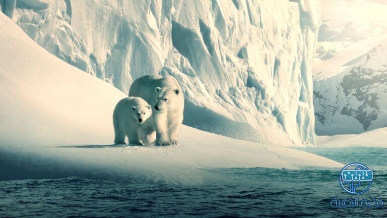 يمكنك الآن مشاهدة الأفلام الوثائقية من نتفليكس Netflix مجاناً علي يوتيوب